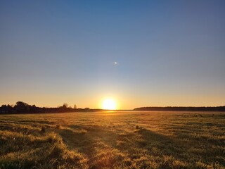 dawn on an early spring morning on a golden field