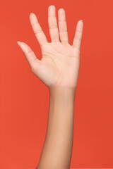 Isolated open female hand on an orange background