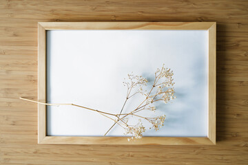 Twigs of gypsophila with soft shadows on an empty wooden picture frame, bamboo background, minimal...