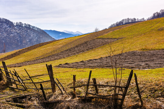 carpathian rural landscape in spring. arable on the hill behind the wooden fence. warm sunny weather in march