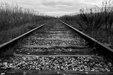 Abandoned railroad track near Arles in winter