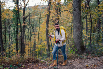 In the midst of an autumn hike, a bearded man, a hiker with a backpack and hiking poles, explores the woodland landscape.