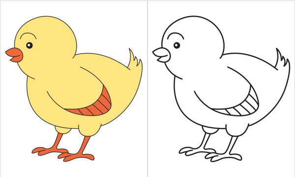A cute chick chick yellow baby bird cartoon mascot illustration pointing with its wing chicken cartoon coloring book on white background vector