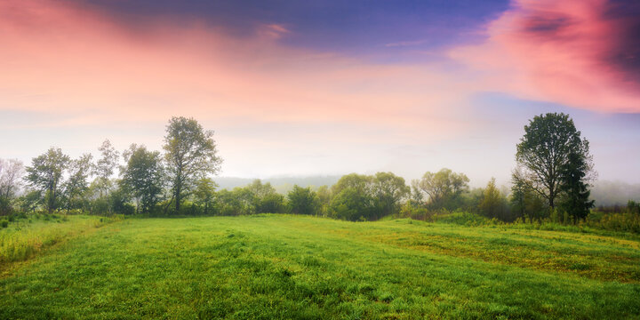 deciduous trees on the grassy field in morning light. rural landscape at dawn. foggy countryside scenery in summer beneath a sky with red clouds