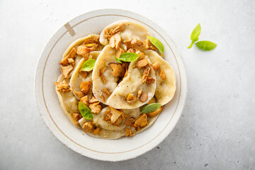 Homemade mushroom ravioli with basil