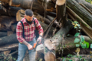 Action shot of the lumberjack in the woods, slicing through logs with a chainsaw, sawdust and smoke...