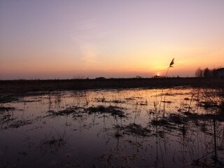 Sunset over a swamp
