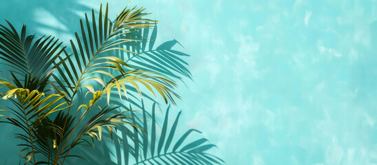 Fototapeta na wymiar Palm branch on a sky blue background. Palm Sunday background.