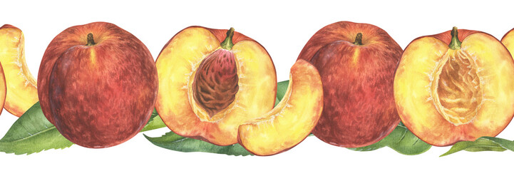 Nectarine Border Watercolor illustration. Hand drawn pattern isolated on white background. Drawing of fruit frame and banner template. Peach painting for food packaging design or cookbooks