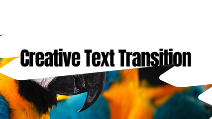 Creative Text Transition - obrazy, fototapety, plakaty