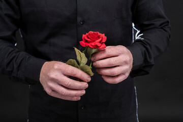 Rosa roja en las manos de un hombre