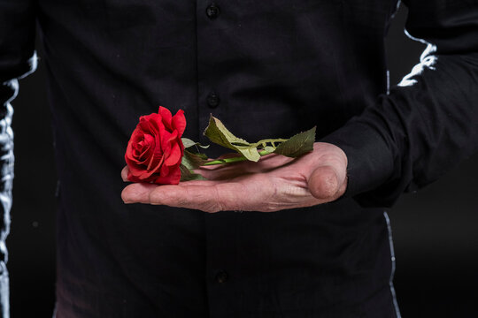 Rosa roja en la mano de un hombre, romántico, amor, detalle