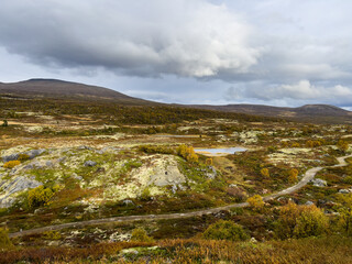 Fototapeta na wymiar Autumn landscape in Dovrefjell National Park, south Norway. Europe