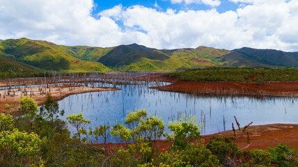 Fototapeta na wymiar Blue River Provincial Park (Parc Provincial de la Rivière Bleue), New Caledonia