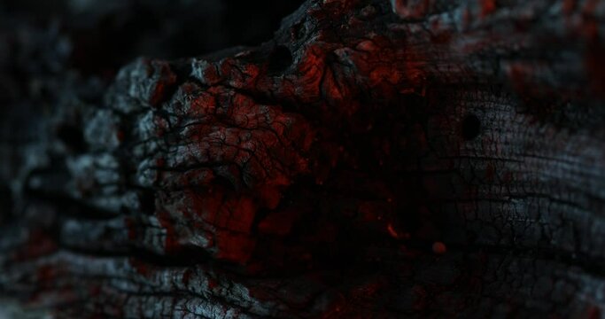 Ember Glow on Charcoal Wood Texture. Close-up, shallow dof.
