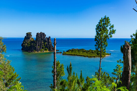 Poule couveuse de Hienghene, New Caledonia