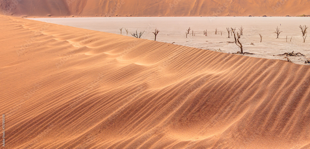 Wall mural Dead trees in Dead Vlei - Sossusvlei, Namib desert, Namibia