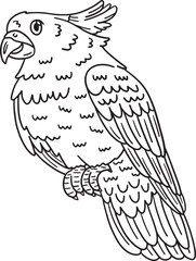 Cockatoo Bird Isolated Coloring Page for Kids