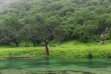 View of Wadi Darbat in Salalah, Khareef season, Sultanate of Oman