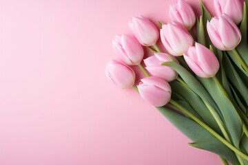 Pink background with tulips