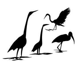 set of swan silhouette black and white illustration