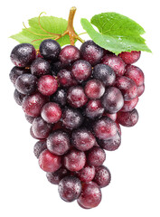Cluster of red table grape covered with small water drops. File contains clipping path.