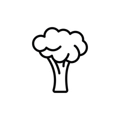 Broccoli icon. Simple outline style. Vegetable, plant, healthy, natural, organic, diet, fresh, food concept. Thin line symbol. Vector illustration isolated on white background.