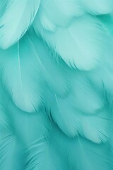 Aquamarine pastel feather abstract background texture 