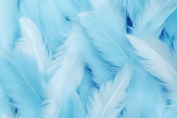Fototapeta na wymiar Azure pastel feather abstract background texture