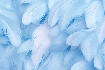 Fototapeta na wymiar Azure pastel feather abstract background texture