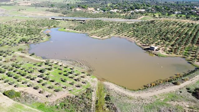 Aerial view of reservoir of the Barcena stream for irrigation of a farm for olive tree cultivation in Beas village between the pastures and green meadows of the province of Huelva , Andalusia, Spain