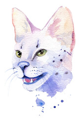watercolor drawing of a cat drawn by hand - safari cat