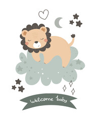 Welcome baby. cartoon lion, hand drawing lettering, decor elements. Colorful vector illustration, flat style. design for greeting cards, print, poster