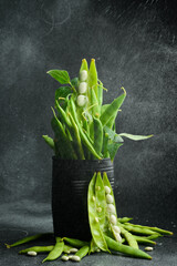 young green beans and Pods of beans on a gray old background. Dark rustic style, side view.