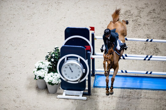 Horse and rider on horse