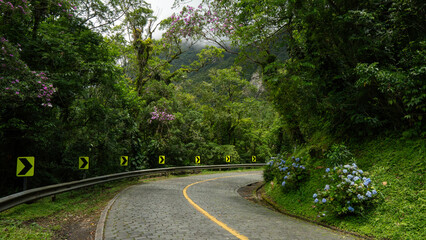 Obraz premium ride on the road, old road in the forest, old path, brick road, nature
