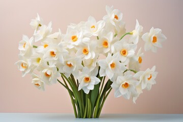 Bouquet of white narcissus on an orange colored backdrop isolated pastel background