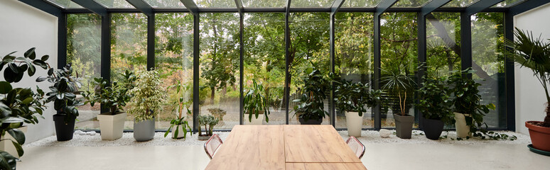 interior photo of modern stylish meeting room with office table and green plants in pots, banner