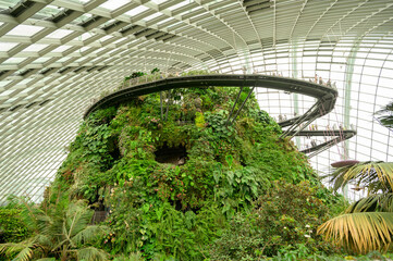 Cloud Forest dome environment at Gardens by the Bay  in Singapore