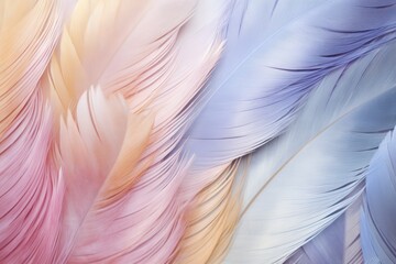 Fototapeta na wymiar Brass pastel feather abstract background texture 
