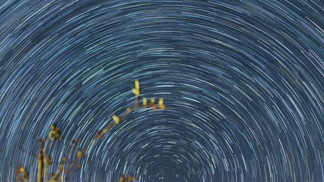 Star trail of stars moving in the night sky around the North Star. Landscape with movement of stars in the Tuscan country, time lapse