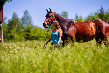A young woman rider with long brunette hair stands with her horse on a high summer meadow in the...