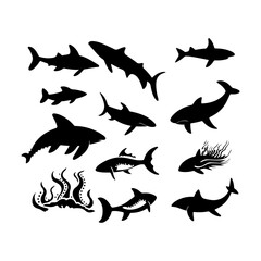 Collection of sea silhouette. Set of sea ocean animals.Cute icon of sea animals.Vector illustration and logo style.