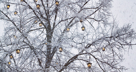 Heavy snow falling on a tree with romantic lanterns hanging from it - 707864343