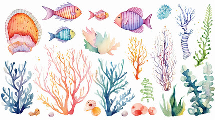 underwater creatures with multicolored coral reefs, seashells and seaweeds on white background