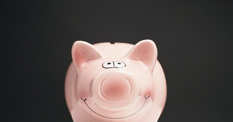 Pink piggy bank - financial concept. Saving money, budgeting