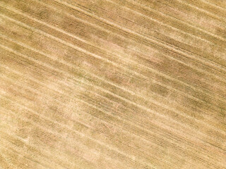Harvested Grain Crop Field from Above. Abstract Background, Aerial Drone Photo - 707865726