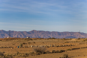Fototapeta na wymiar Old Muslim cemetery in the Ziz river valley. Morocco