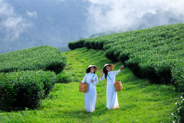 Two young asian woman in white vietnamese dress and hat carry basket walking looking away and...