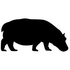 illustration of a hippopotamus isolated